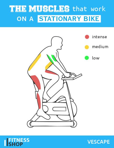 Muscles work on stationary bike Stationary Bike Benefits, Cycling Muscles, Stationary Bike Workout, Cycling Benefits, Stationary Bicycle, Biking Benefits, Spin Bike Workouts, Bicycle Workout, Spinning Workout