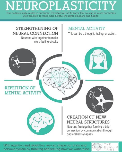 Brain Chat’s Instagram photo: “Neuroplasticity from @the.healed.tribe 🧠🧠🧠 https://www.thehealedtribe.com/blog/2020/1/15/limbic-system-hypersensitivity-pain-fatigue-…” Limbic System Retraining, Limbic System Brain, Neural Plasticity, Neuroplasticity Exercises, Endocrine System Hormones, Brain Chemicals, Neural Pathways, Multiple Chemical Sensitivity, Psychology Notes