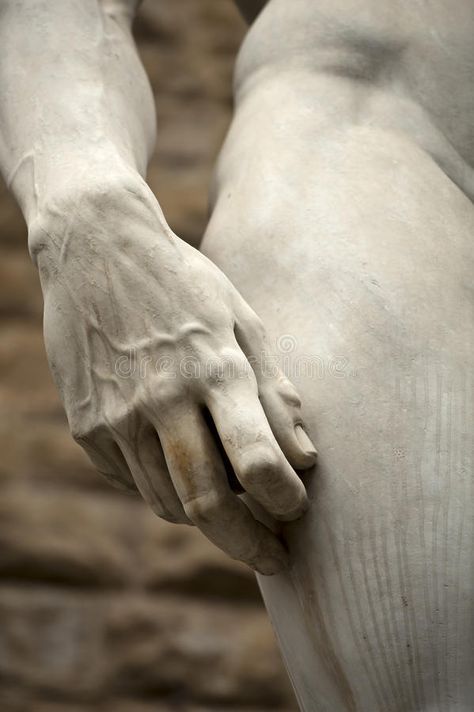 David Florence, Michelangelo David, Michelangelo's David, Istoria Artei, Anatomy Sculpture, Classic Sculpture, Firenze Italy, Greek Statues, Keramik Design