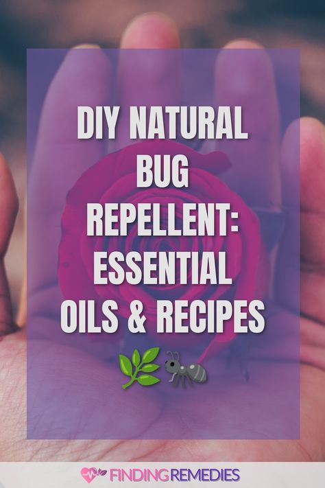 DIY Natural Bug Repellent: Essential Oils & Recipes 🌿🐜 Bug Away Essential Oil Blend, Bug Repellent Essential Oils, Bed Bugs Essential Oils, Insect Repellent Essential Oils, Essential Oils Recipes, Diy Bug Repellent, Natural Mosquito Repellant, Natural Bug Repellent, Fly Repellant