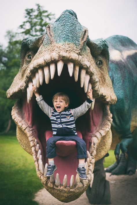 Enter the Kingdom of the Dinosaurs - An Immersive Outdoor Experience | Mummy Fever Dinosaur Exhibit, Optical Illusion Photos, Dinosaur Exhibition, Giant Dinosaur, Dino Park, Real Dinosaur, Dinosaur Head, Dinosaur Photo, Dinosaur Park