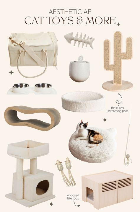 Cat Room Apartments, Cute Cat Decor Ideas, Cat Items Aesthetic, Cat Things For Home Aesthetic, Kitten Toys Aesthetic, Cat In House Aesthetic, Cat Aesthetic Home, House With Cats Aesthetic, Cat Neccesities