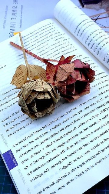 Paper Folding, Instruções Origami, Paper Craft Ideas, Handmade Paper Crafts, Craft Room Storage, Diy Crafts To Do, Origami Tutorial, January 20, Origami Art