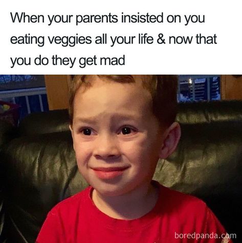 274 Hilarious Vegan Memes That May Change The Way You Look At Meat Thomas Meme, Irish Memes, Gavin Memes, Nurse Jokes, Boy Meme, Vegan Memes, College Kids, Nurse Humor, Meme Faces