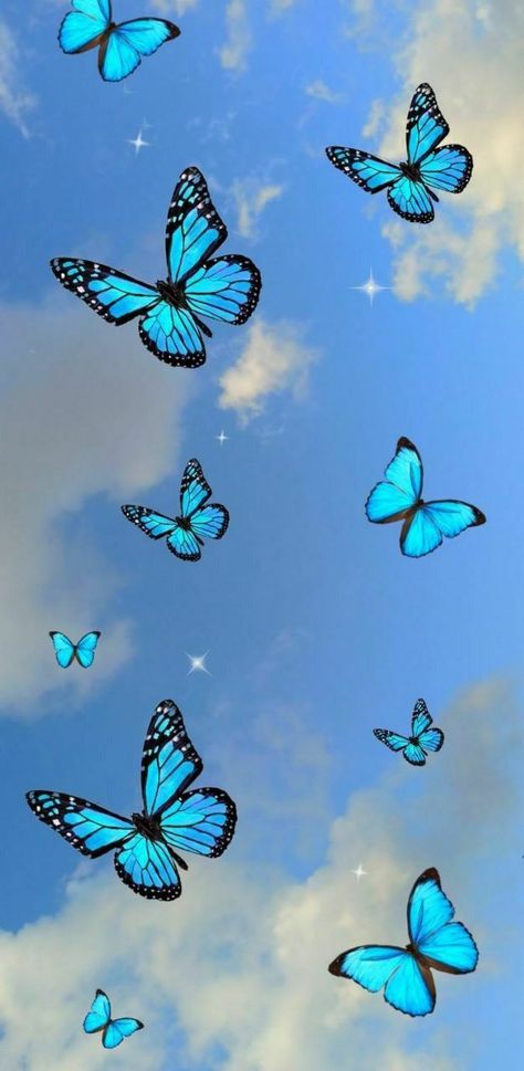 Bilik Perempuan, Blue Butterfly Wallpaper, Corak Bunga, Istoria Artei, Haiwan Lucu, Iphone Wallpaper Sky, Kraf Diy, Blue Wallpaper Iphone, Wallpaper Iphone Neon