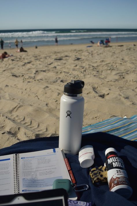 Studying On The Beach Aesthetic, College Beach Aesthetic, College By The Beach, School On The Beach, Beach Study Aesthetic, Studying On The Beach, Studying At The Beach, Studying Marine Biology Aesthetic, College On The Beach