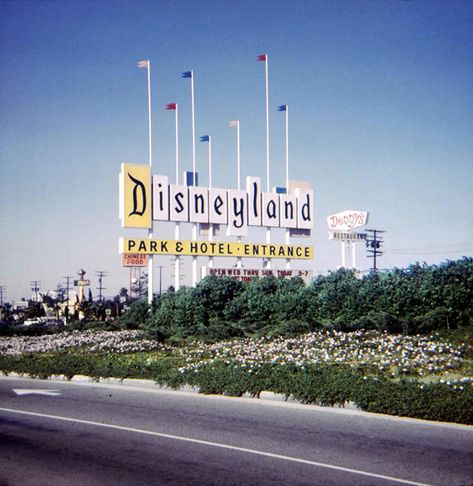 What Disneyland Looked Like in 1950s - Atchuup! - Cool Stories Daily Vintage Disneyland, Disneyland Sign, Disneyland Gifts, Disneyland Photos, Disneyland Pictures, Disney Memories, Disneyland California, Disneyland Park, Disney Photos