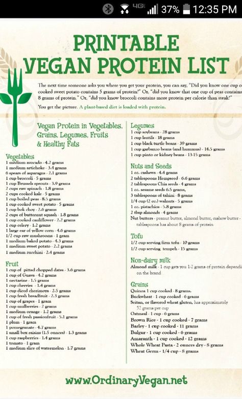 This is so helpful! Protein List, Veggie Protein, Vegan Info, Vegan Food List, Vegan Tips, Vegan Protein Sources, Vegan Facts, Vegan Nutrition, Vegan Meal Plans