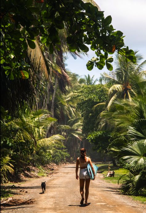 Costa Rica, Cost Rica, Costa Ric, Costa Rica Adventures, So Sleepy, Costa Rica Beaches, Surf Aesthetic, Winter Beach, Surf Club