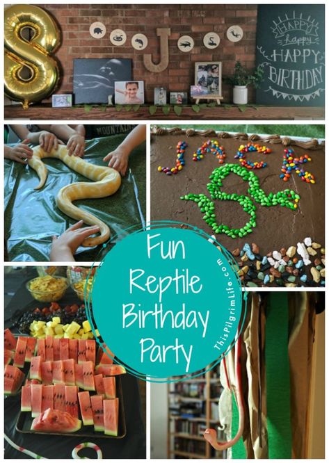 Reptile fans will love this fun reptile birthday party! A cool DIY snake cake, a reptile obstacle course that led to a den of (stuffed snakes), and a hands-on snake and lizard experience were a few of the highlights from the party. Reptile Birthday Cake, Reptile Party Ideas, Lizard Party, Obstacle Course Party, Reptile Birthday Party, Snake Cake, Wild Kratts Birthday Party, Diy Snake, Snake Cakes