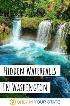 Want to hear a secret? There's an incredibly beautiful waterfall hidden in Washington State. The trail is short, but occasionally steep. Still, it's worth it to see this gem. | Washington Hiking | Trails | Short Hikes | Waterfalls Hikes | Columbia River Gorge | Kayaking | Near Oregon Nature, Only In Your State Washington, Waterfalls Washington State, Beautiful Places In Washington State, Hidden Gems In Washington State, Washington State Waterfalls, Things To See In Washington State, Waterfalls In Washington State, Washington Hikes Pacific Northwest