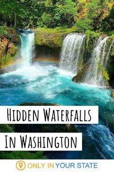 Want to hear a secret? There's an incredibly beautiful waterfall hidden in Washington State. The trail is short, but occasionally steep. Still, it's worth it to see this gem. | Washington Hiking | Trails | Short Hikes | Waterfalls Hikes | Columbia River Gorge | Kayaking | Near Oregon Nature, Waterfalls Washington State, Hidden Gems In Washington State, Only In Your State Washington, Waterfalls In Washington State, Beautiful Places In Washington State, Washington State Waterfalls, Things To See In Washington State, Washington State Vacation Ideas