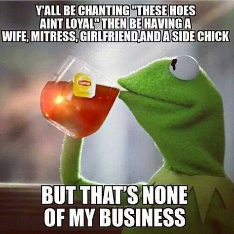 wife, mistress, girlfriend, and side chick... hmmmm Humour, Funny Quotes, Business Meme, Kermit Meme, True Sayings, Kermit Funny, Kermit The Frog, Have A Laugh, Bones Funny