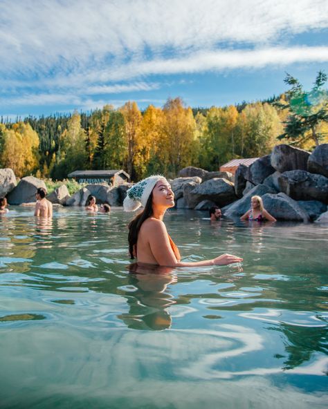 Chena Hot Springs Alaska, Alaska Photo Ideas, Chena Hot Springs, Alaska Life, Cruise Alaska, Alaska Summer, Kenai Fjords National Park, Alaska Wildlife, Kenai Peninsula