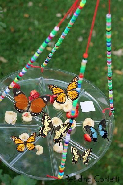 Butterfly Feeders, Children Garden, Butterfly Feeder, Garden Crafts For Kids, Theme Nature, Deco Nature, School Garden, Have Inspiration, About Nature