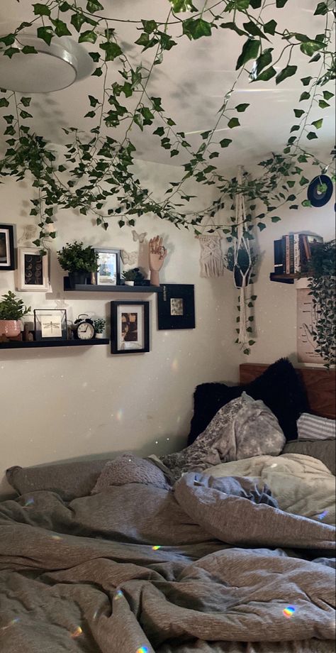 hanging vines, cute cozy bed, earthy hippie aesthetic Blue And Beige Room Ideas, Net Over Bed Aesthetic, Vine Rooms Ideas, Room Inspo Tapestry Ceiling, Vines In Apartment, Bedroom Inspo Corner Bed, Green Wall For Bedroom, Vines On Headboard, Cute Room Ideas With Vines