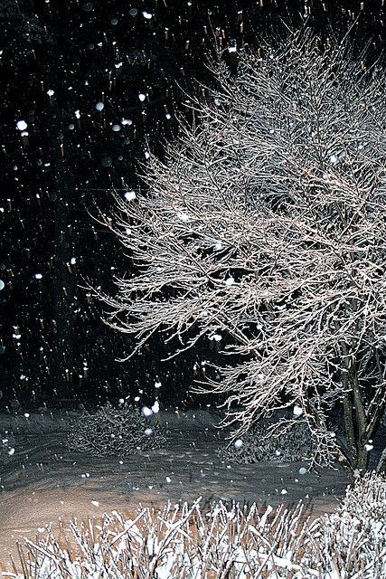 I love hiking in this at night,during  a full moon.The moon rays shinning thur all the tiny snow flakes Winters Tafereel, Winter Schnee, I Love Snow, I Love Winter, Kahlil Gibran, Winter Love, Winter Magic, Winter Scenery, Snow Scenes