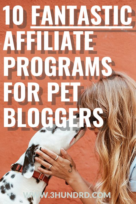 Dog Affiliate Programs, Pet Affiliate Programs, Dog Influencer Ideas, Pet Influencer, Dog Daycare Business, Work From Home Careers, Dog Business, Blog Planning, Blog Business