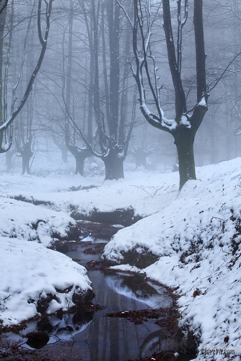 ☯ ☯ ☯ Astral Elf Aesthetic, Winter Fantasy Aesthetic, Winter Environment, Yin Energy, Winter Scenery, Winter Beauty, Winter Forest, Winter Wonder, Winter Aesthetic
