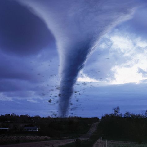 11 Tips Sure to Help You Survive a Tornado Severe Weather Preparedness, Earth Science Lessons, Tornado Warning, Myth Busted, Earth And Space Science, Science Lesson Plans, Weather Information, Environmental Damage, Severe Weather