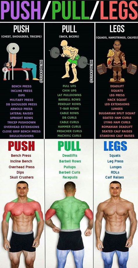 Push Pull Workout Routine, Push Pull Legs Workout, Push Pull Workout, Push Workout, Gym Workout Planner, Gym Antrenmanları, Full Body Workout Routine, Workout Splits, Gym Workout Chart