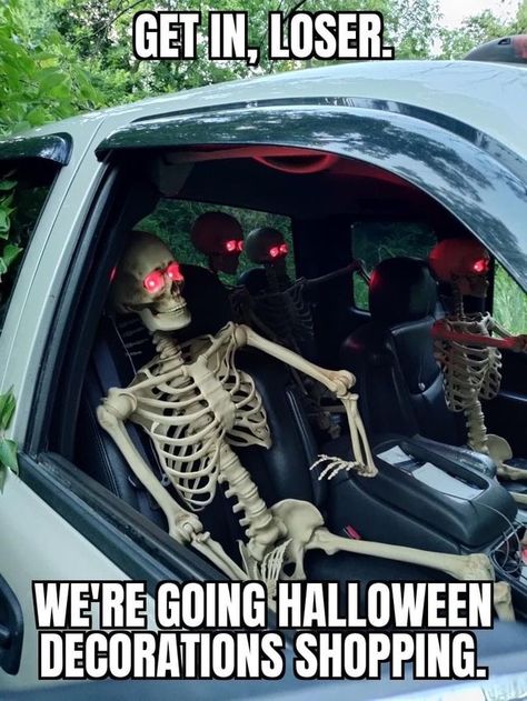 Humour, Funny Memes. Hilarious Halloween, Halloween Funny Pictures, Funny Halloween Pictures, Memes Halloween, Halloween Fangs, Halloween Meme, Funny Halloween Memes, Its October