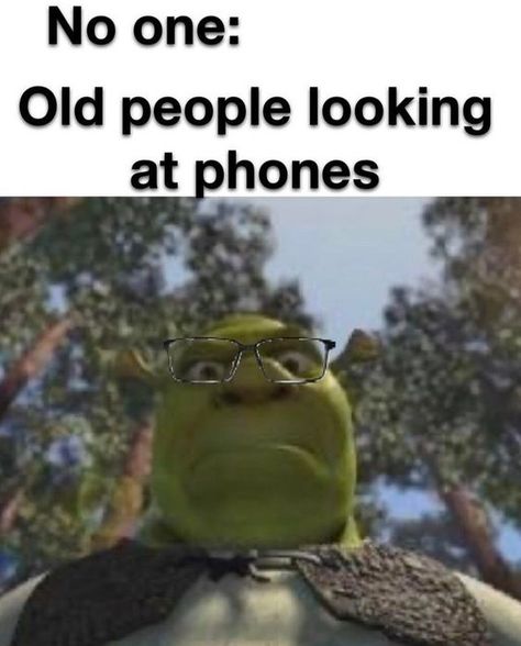 - - - - #memes #funny #humor #lol #comedy #hilarious #dankmemes #memeoftheday #instafunny #laughoutloud #muppets Relatable Post Funny, Very Funny Pictures, Very Funny Jokes, Weird Stuff, Extremely Funny Jokes, Some Funny Jokes, Real Funny Jokes, Really Funny Joke, Quick Jokes