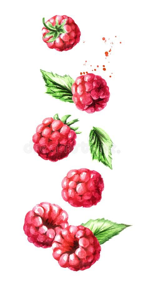 Watercolor Raspberries, Fine Art Painting Techniques, Composition Watercolor, Vertical Composition, Cream Art, Watercolor Mixing, Watercolor Fruit, Fruit Illustration, Fruit Painting