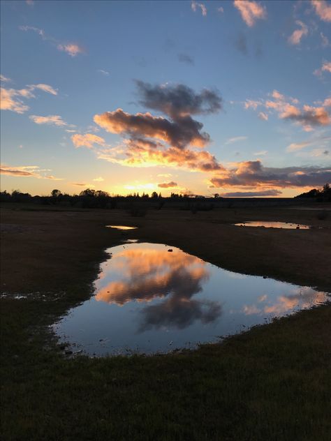 Folsom Lake California Water, Travel, California, Folsom California, Folsom Lake, Lake, Celestial Bodies