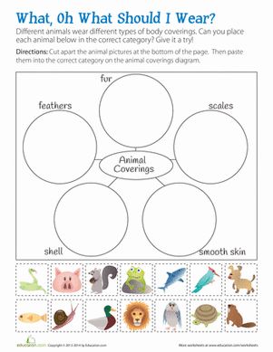 What are the different types of animal body coverings? Help kids sort and categorize these animals based on their body coverings. Animal Characteristics Kindergarten, Animal Classification Worksheet Free Printable, Animal Coverings Activities, Animal Coverings, Animal Characteristics, Grade 2 Science, Animal Lessons, Animal Classification, 1st Grade Science