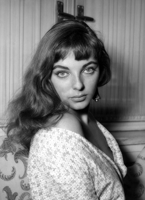 Joan Collins, totally perfect. American Horror Stories, Joan Collins Young, Dame Joan Collins, Jackie Collins, Young Celebrities, Maria Callas, Joan Collins, Tilda Swinton, Sophia Loren