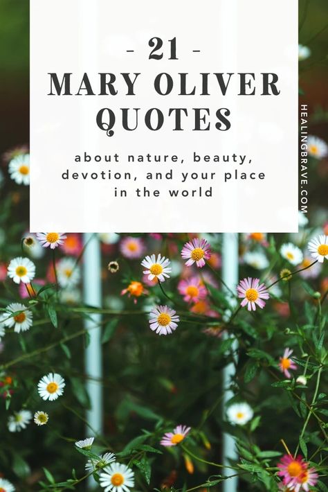 21 Mary Oliver Quotes about Nature, Beauty, Devotion, and Your Place i – Healing Brave Nature, Mary Oliver Quotes Life, Quotes About Nature Beauty, Quotes About Nature, Mary Oliver Quotes, Mary Oliver Poems, Spring Poem, Mother Nature Quotes, Nature Poem