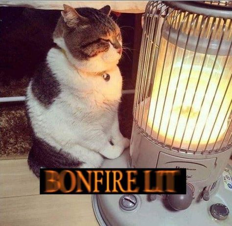 Dark Souls Memes Humor, Bloodborne Funny, Dark Souls Memes, Dark Souls Pfp, Dark Souls Bonfire, Dark Souls Funny, Dark Souls Wallpaper, Dark Souls 2, Soul Game