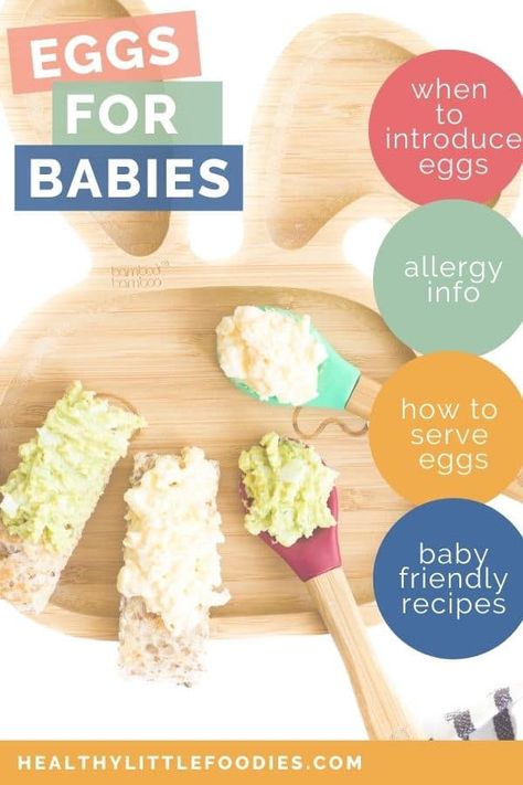 Egg Puree For Baby, Egg Allergy Recipes, Introducing Baby Food, Baby Food Allergies, Cows Milk Allergy, Baby Food Guide, Baby Food Combinations, Egg Benefits, Making Baby Food