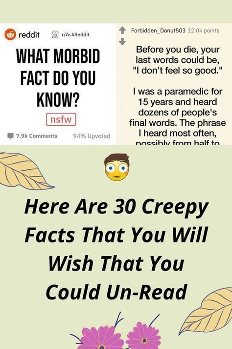 Here Are 30 Creepy Facts That You Will Wish That You Could Un-Read Real Creepy Facts, Spooky Facts, Wives Tales, Scary Facts, Spooky Stuff, Creepy Facts, School Jokes, Funny School Jokes, Real Life Stories