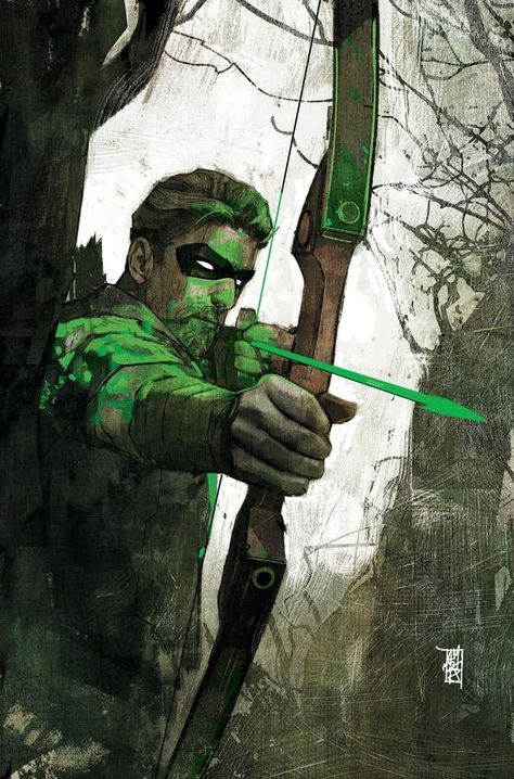 Comics and Other Cool Stuff Green Arrow Comics, Alex Maleev, Arrow Comic, Arrow Black Canary, Arrow Art, Film Anime, Univers Dc, Dc Icons, Arte Dc Comics