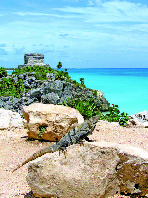 Friend posing in front of the Mayan Ruins by the beach in Tulum. Best program ever! #LiveItToBelieveIt #VisitMexico #Tulum #Maya #mexico Playa Del Carmen, Ruins, Maya Rivera, Travel Tulum, Rivera Maya Mexico, Mexico Pictures, Tulum Ruins, Tulum Beach, Visit Mexico