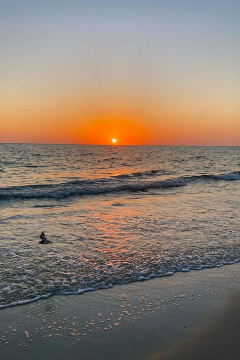 Florida's Sunset Beaches: Naples Beach Sunset with Birds Sunset Beach Florida, Pinecrest Florida, Sunset Beaches, Beaches In Florida, Naples Beach, Sunrises And Sunsets, Florida Sunset, Florida Adventures, Fort Lauderdale Beach