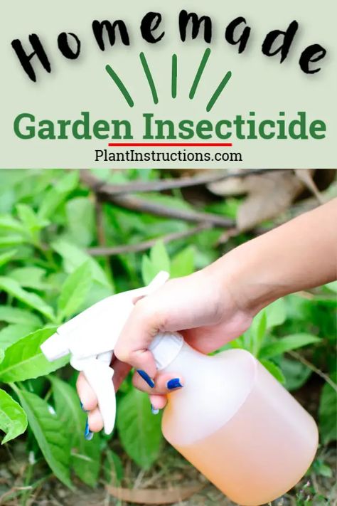 Natural Pesticides For Garden, Insecticide For Plants, Garden Bug Spray, Bug Spray For Plants, Homemade Insecticide, Garden Diy Decoration Ideas, Homemade Bug Spray, Slugs In Garden, Organic Insecticide