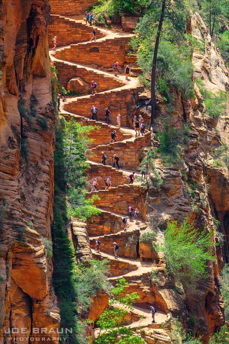 Angels Landing Zion National Park, Zion National Park Photography, Angels Landing Zion, Zion Utah, Utah National Parks Road Trip, Utah Vacation, Utah Adventures, National Parks Photography, Utah Road Trip