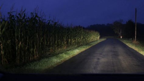 Don't Drive On These 7 Haunted Roads In Kansas Or You May Regret It Nature, Clown Walk, Dark Tourism, Alien Encounters, Corn Field, Aesthetic Lockscreens, Spooky Town, Are You Scared, Dreamcore Weirdcore