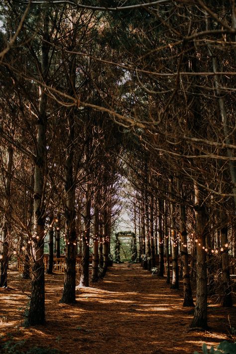 Granville Ohio, Untraditional Wedding, Twilight Wedding, Orchard House, Forest Theme Wedding, Enchanted Forest Wedding, Forest Theme, Future Wedding Plans, Marriage Ceremony