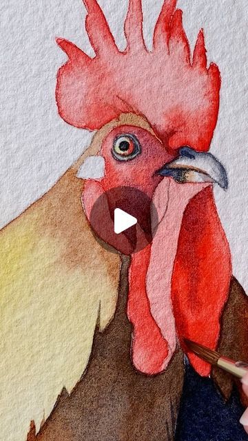 Croquis, Watercolor Paintings Of Roosters, Watercolor Chickens And Roosters, Watercolour Lessons, Watercolor Chicken, Have A Fabulous Weekend, Watercolor Rooster, Watercolor Sketches, Watercolour Ideas