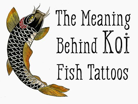 Koi Fish Tattoo Meaning—Color, Direction, and More Koy Fish Tattoo, Fish Tattoo Meaning, Koi Fish Tattoo Meaning, Coy Fish Tattoos, Koi Fish Tattoos, Koy Fish, Koi Fish Colors, Japanese Koi Fish Tattoo, Tato Ikan Koi