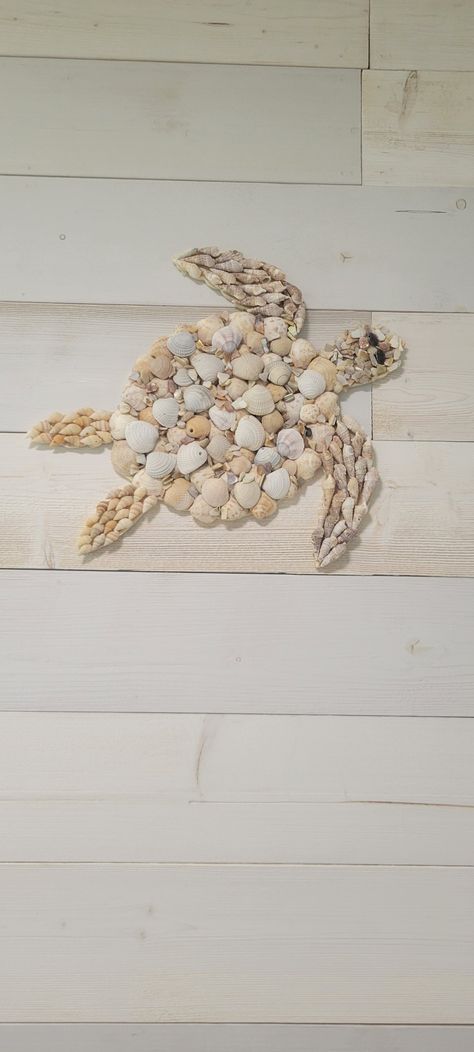 Nature, Shell Turtle Craft, Sea Turtle Shell Art, Turtle Made Out Of Sea Shells, Sea Shell Crafts Seashell Art, Turtle Shell Art, Sea Shell Turtle, Diy Seashell Crafts, Seashell Turtle