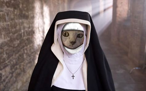 ❤️💯❤️💯❤️💯 Different Types Of Cats, Nun Costume, Cat Humor, Types Of Cats, People Clothes, Cat Dresses, Cat Scratching, Nun Dress, Cats And Kittens