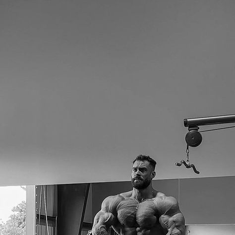 Chris Bumstead Wallpaper 4k, Chris Bumstead Wallpaper, Wallpaper 4k Pc, Chris Bumstead, Angry Tiger, Gym Wallpaper, Bodybuilding Pictures, October 21, Wallpaper 4k