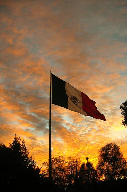 Sunset Flag, Mexico Wallpaper, Mexico Pictures, Mexican Culture Art, City Sunset, Sunset Beautiful, Mexican Flag, Mexican Heritage, Mexico Culture