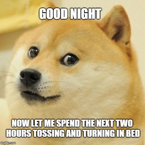 Doge Humour, Good Night Meme, Funny Good Night Images, Good Night Hug, Good Night Sweetheart, Doge Meme, Good Night Funny, Memes For Him, Guys Night