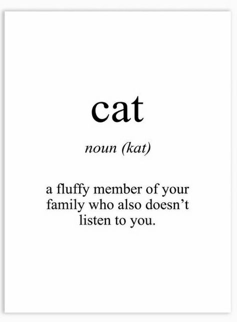 Cat Attitude Quotes, Cat Person Quotes, Aesthetic Meaning, Spanish Quotes With Translation, Quotes About Cats, Cat Captions, Walking Quotes, Pet Poems, Cat Text